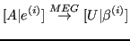 $\displaystyle [A \vert e^{(i)} ] \overset{MEG}{\to} [U \vert \beta^{(i)}] $